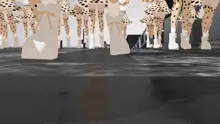 Serval-chan's great day goes into overdrive, everything remains fine