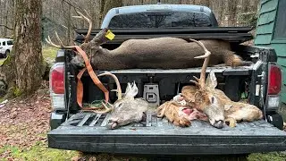 New York Deer Camp &mdash; несколько баксов позади!