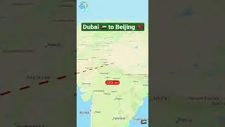 #shorts #dubai #beijing #beijing2022 #uae #china