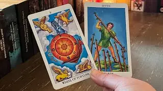 Your Survival Is Mastery — This situation Made A Master Out Of You!