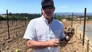 Ghost Hill Cellars - Willakenzie Soil