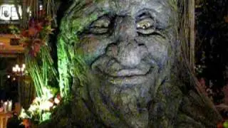 Tree Face