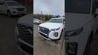 Отзыв клиента получившего Hyundai Palisade в Москве