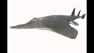Guitar Stingray Animation Demo
