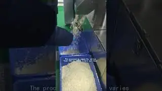 nuts milk processing plant Genyond