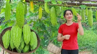 Harvest Bitter Melon, Process It into Delicious Dishes, and Sell Them at the Market