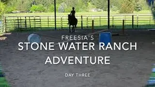 Freesia's Stonewater Adventure Day 3! Marissa Zane's Mighty Mustangs