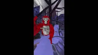 Marmo VR Live