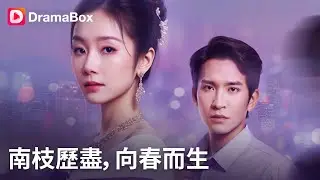 🍃南枝歷盡，向春而生 ​| 七年深情喂了狗！她弃豪门千金身份成全职主妇，反遭丈夫狠心背叛💔三年后涅槃成国际财团女霸总，前夫跪地痛哭求复合！丨#DramaBox #shorts #大陆短剧