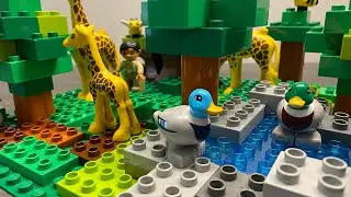 Duplo LEGO Animals Zoo - Giraffe