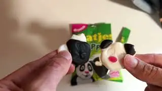 Sweet Pandas: A Tappsy Tasting