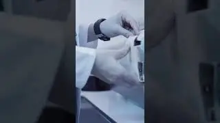 Molek&uuml;ler Testler