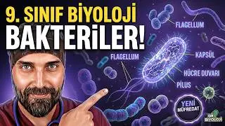 7. Ders: Bakteriler | Dr. Biyoloji 9. Sınıf Yeni Müfredat