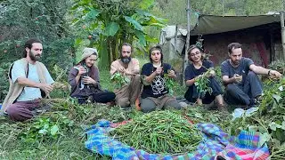 Iranian Farm Life: Growing and Cooking with Local Beans
