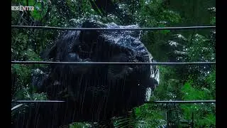 Jurassic Sleep Sounds