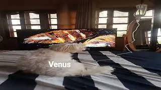 nakunan kasi yan kaya may dextros si baby Venus😘😘😘
