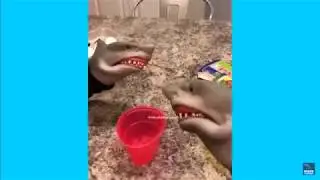 ULTIMATE PUPPET SHARK COMPILATION
