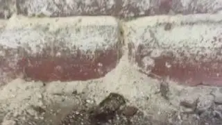 Efflorescence on Mortar and Brick Basement
