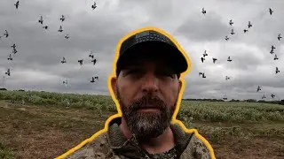 Greatest Oklahoma Dove hunt CATCH CLEAN COOK
