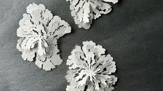 {zhanswork} Freehand Papercut Coral DIY Process, Stress Relief Video