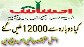 Ehsaas emergency cash program start again true or false