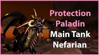 Prot Paladin Main Tank Nefarian (Devilin - Arugal)