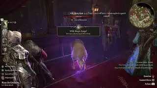 SHEEP! Baldur's Gate 3 PS5