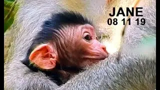 BREAKING NEWS...!! CONGRATULATION MUMMY JANE GIVE A BIRTH CUTE BABY NEWBORN THIS MORNING.