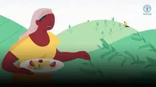 Seed systems in emergencies
