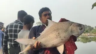 Oldman Catch Big Katla Fish From Pond Using Hook