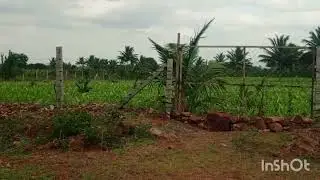 N p properties  2 acre pure red soil  25 lakhs per acre  6360446978 general  property 