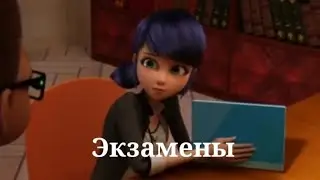 Клип.Экзамены.Леди Баг и Супер-Кот.