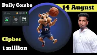 hamster kombat daily combo today 14 August 2024 | daily cipher | Hamsta pilot