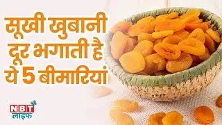 Apricot Health Benefits: इन 5 बीमारियों से छुटकारा दिलाएगी सूखी खुबानी | Khubani Ke Fayde | NBT Life