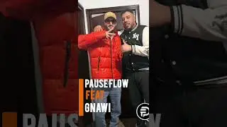 PAUSE & GNAWI⏳      #rapmaroc #pause_flow #rap #music #gnawi #pause #rapreaction #hiphop #freestyle