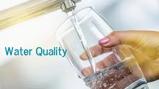 Water quality reports - 2019