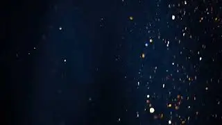 earlywinter - moan