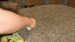 My dwarf rat Jellybean has graduated to a more typical type of fetch!