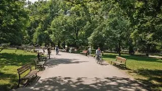 Forest Park Walk