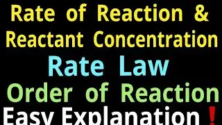 Rate of reaction and reactant concentration , rate law , order of the reaction ,writing the rate law