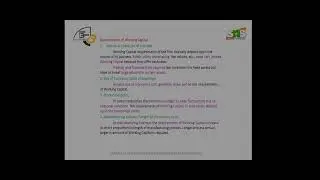 Determinants of Working Capital