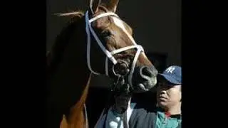 tribute to the horses of the thoroughbred series