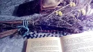 Можжевельник обыкновенный ,описание и лечебное применение по материалам книги Попова А.П.