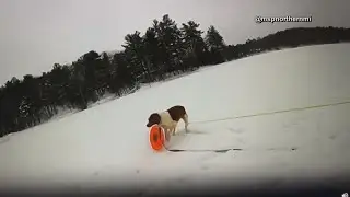 Dog rescues owner who fell through the ice in Michigan