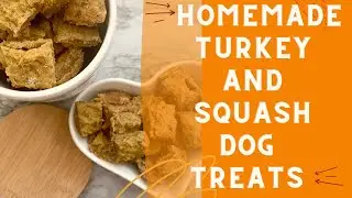 Quick and Easy Homemade Turkey Dog Treats | Turkey and Squash Recipe