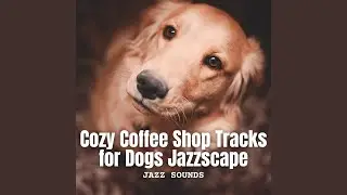 Cozy Paws and Smooth Sax
