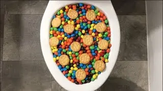 Will it Flush? - M&M's and Ritz Crackers