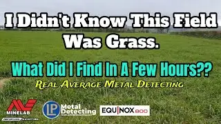 Therapy In The Field. Metal Detecting UK. Nox800