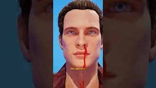 What to do if you have a nosebleed 🩸