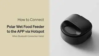 How to Connect the Feeder to App Via Hotspot | Petlibro Polar Wet Food Feeder